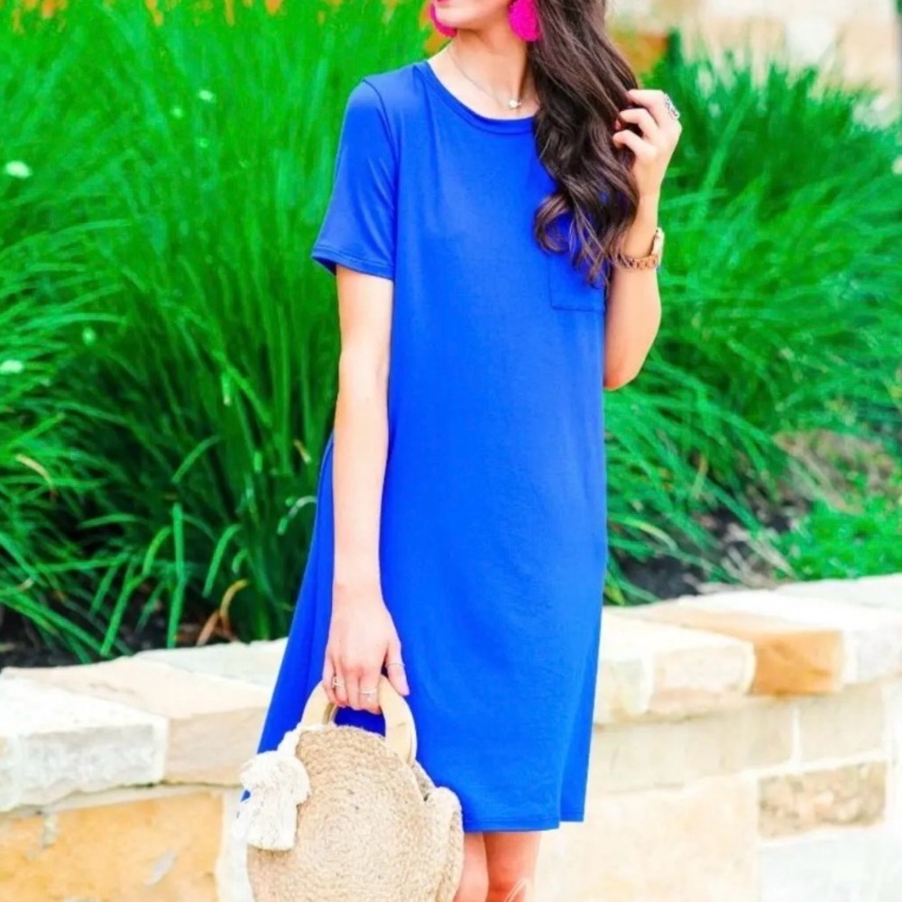 NWT C&C California Short Sleeve Shift Dress in Blue Size Medium
